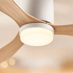 Lumiere LED du Halo