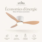 Économies d'énergie, moteur DC