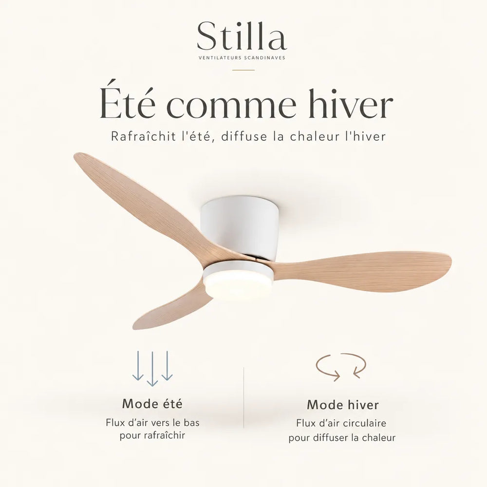 Confortable été comme hiver