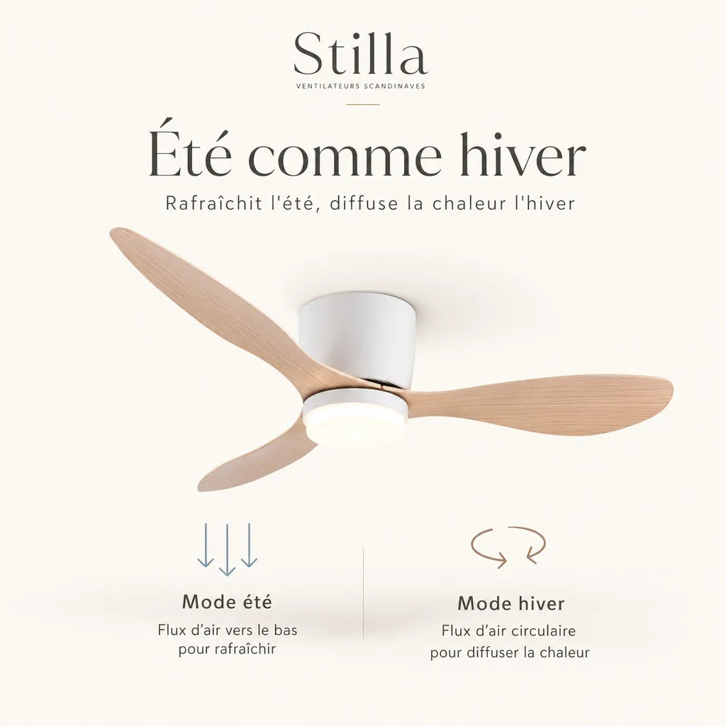 Confortable été comme hiver