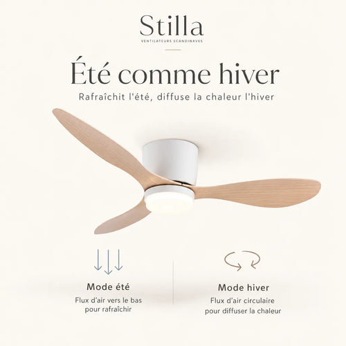 Confortable été comme hiver