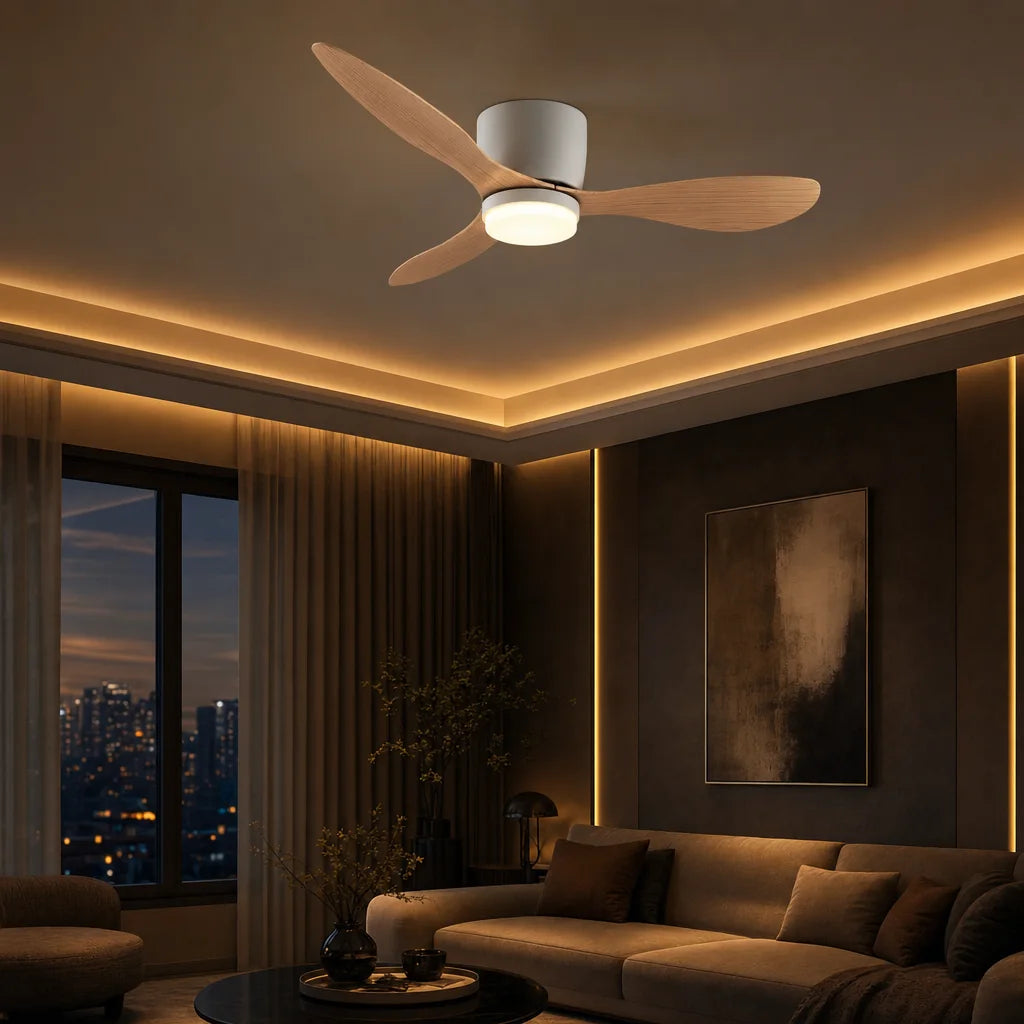 Halo, ambiance premium