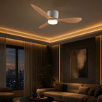 Halo, ambiance premium